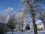 Winter action and scenes on and around the Lake!!