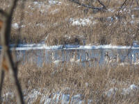 Outside activities over the Holidays. Photos by Anne Peltier