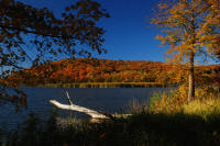 View from Maplewood Sate Park