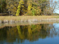  Fall has arrived and the colors are great (Photo by Anne Peltier)